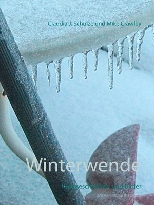 cover image of Winterwende